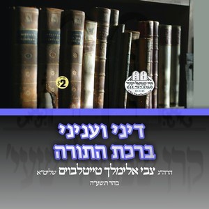 DINEI V'INYONEI BIRCHAS HATORAH