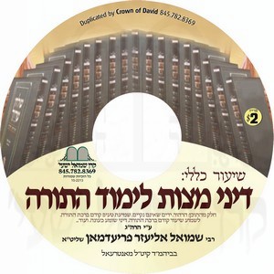 DINEI MITZVAS LIMUD HATORAH