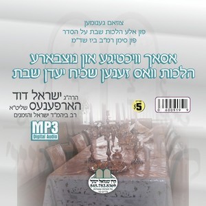 HILCHOS SHABBOS 242-344