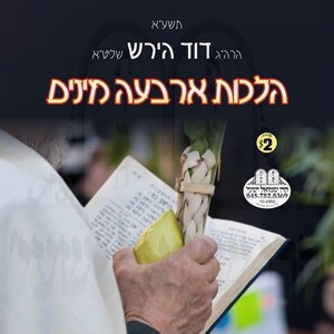 HILCHOS ARBA MINIM