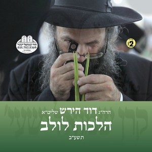 HILCHOS LULAV