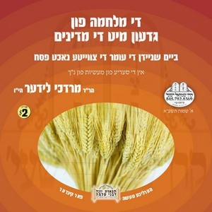 GIDOIN'S MILCHOME MIT THE MIDYONIM