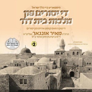 THE YESURIM FIN MALCHUS BEIS DOVID