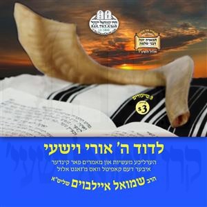 L'DOVID HASHEM OIRY V'YISHEE