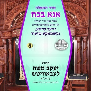 ONU B'KOACH