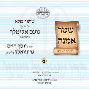 SHTAR AMUNA-NOAM ELIMELECH