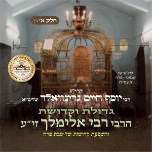 R' ELIMILECH MLIZENSK-SHABBOS PURU