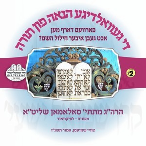 THE HANUAH FIN TORAH