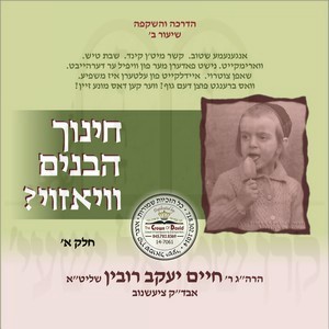 CHINUCH HABUNIM VIAZOI