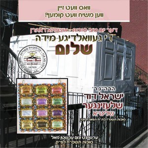 ISHPIZA DAHARON-SHULOM