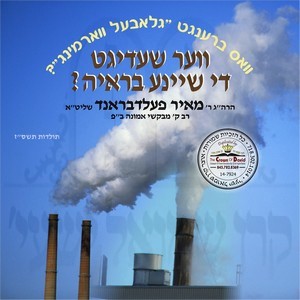 VER SHAIDIGT THE SHEINA BRIAH