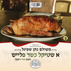 A SHTIKEL KOSHER FLEISH