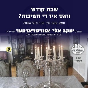 SHABBOS KODESH-THE CHASHIVOS