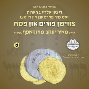 TZVISHEN PURIM & PESACH