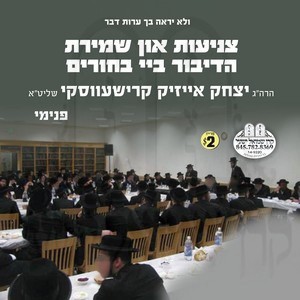 TZNIUS & SHMIRAS HADIBUR BY BOCHERIM