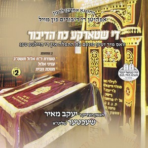 THE SHTARKE KOACH HADIBUR