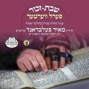 SHABBOS ZOCHOR - PERL VERTER