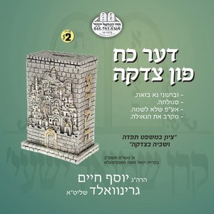 THE KOACH FIN TZEDOKAH