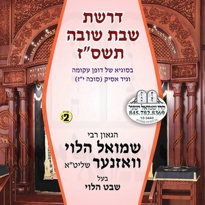 DROSHES SHABBOS SHIVAH 5767