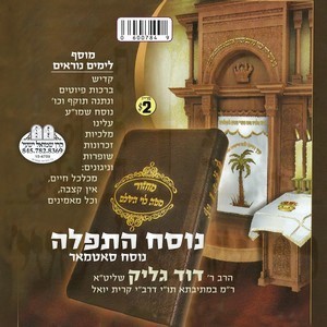 NUSACH MUSAF R''H-SATMAR