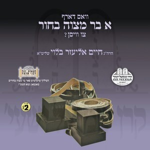 A BAR MITZVA BOCHER