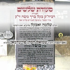 SEUDAS SHLOSHIM IN TZ'IRIM KY