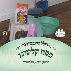 PESACH CLEANING