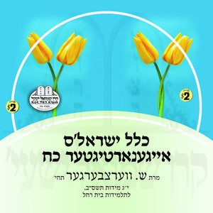 KLAL YISROEL'S EIGENARTIGER KOACH