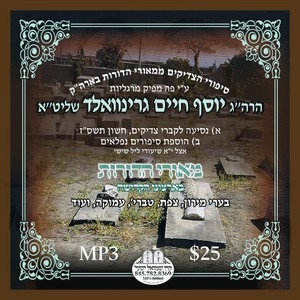 NESIEH ERETZ YISROEL