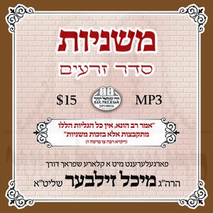 104 KILAYIM - ZRU'IM