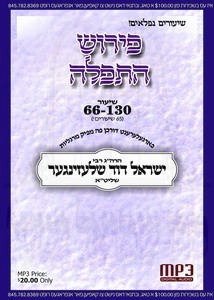 TFILLAH (02) SHIUR 66-130