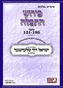 TFILLAH (03) SHIUR 131-195