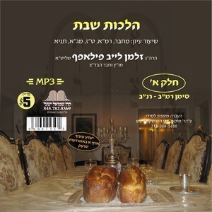 HILCHOS SHABBOS-242-252