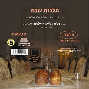 HILCHOS SHABBOS-309-317