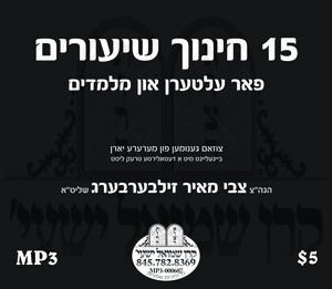 15 CHINUCH SHIURIM