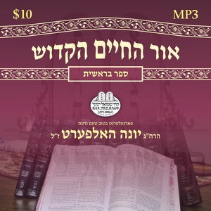 01-BRIESHIS-OIR HACHAIM