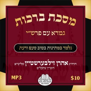 BRACHOS - BAVLI