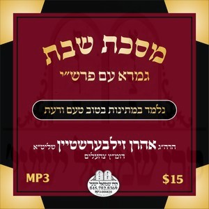 SHABBOS - BAVLI