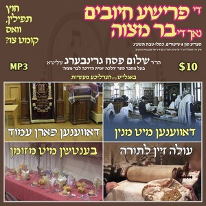 FRISHE CHIYUVIM BY BAR MITZVAH