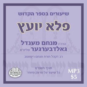 SHIURIM B'SEIFER PELA YOETZ