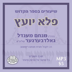 SHIURIM B'SEIFER PELA YOETZ