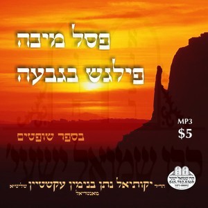 PESEL MICHU - PILEGESH B'GIVOH