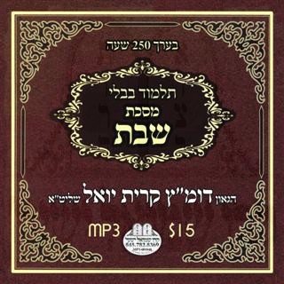 SHABBOS - BAVLI