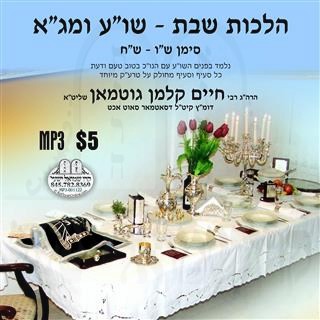 HILCHOS SHABBOS - B'IYUN - 306-308