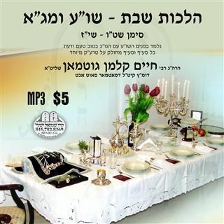 HILCHOS SHABBOS - B'IYUN - 315-317