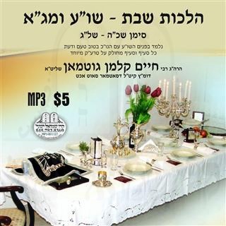 HILCHOS SHABBOS - B'IYUN - 325-333