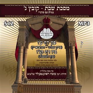 SHABBOS - BAVLI-3 PEIREK 8-24