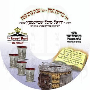 בדיקת חמץ-שבת ערב פסח