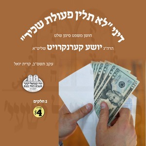 דיני לא תלין