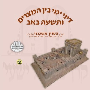 דיני בין המצרים-תשעה באב